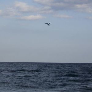 Meet your Posher, Eileen